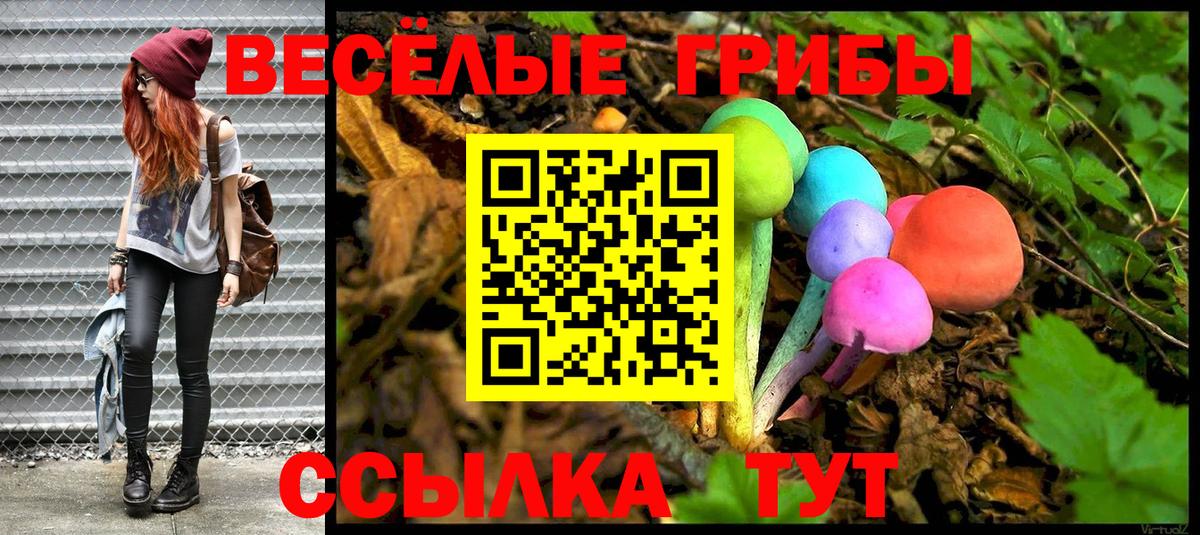 Псилоцибиновые грибы GOLDEN TEACHER Красноярск